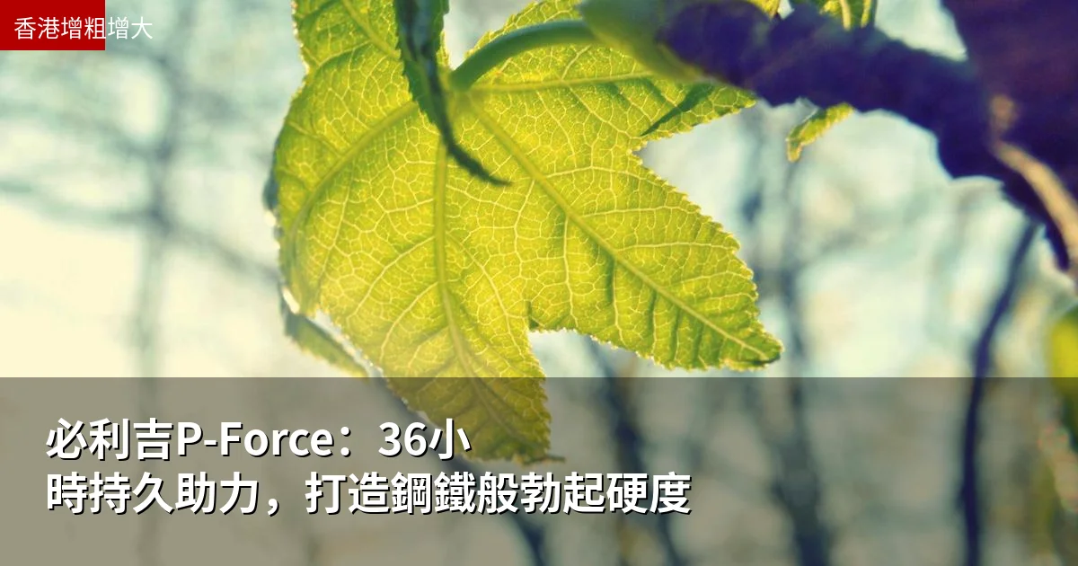 必利吉P-Force：36小時持久助力，打造鋼鐵般勃起硬度